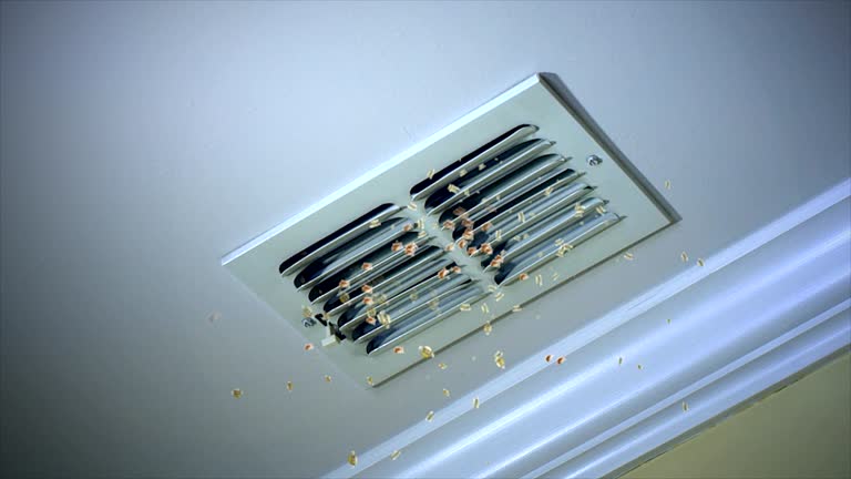 Best Best Air Duct Cleaning Company  in Atlantic Beach, FL