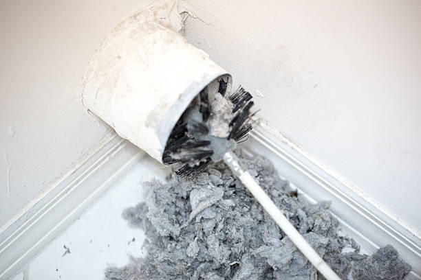 Best Dryer Vent Cleaning Services  in Atlantic Beach, FL